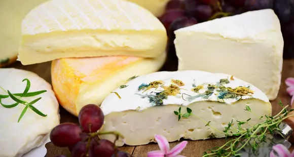 Kühe, Milch und Käse - Besichtigung der Sennerei Algund